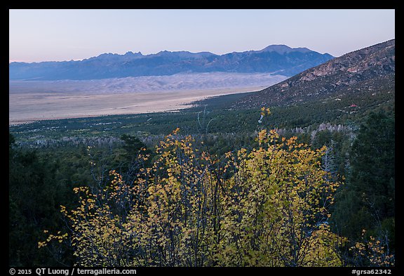 Autum Color and distant dunefield. Great Sand Dunes National Park and Preserve (color)