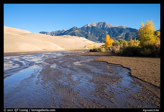 Medano Creek flowing, dunes, and trees in autumn foliage. Great Sand Dunes National Park and Preserve, Colorado, USA.