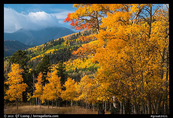 Autumn foliage and mountains near Medano Pass. Great Sand Dunes National Park and Preserve, Colorado, USA.