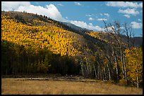 Meadow and hills in autumn foliage near Medano Pass. Great Sand Dunes National Park and Preserve, Colorado, USA.