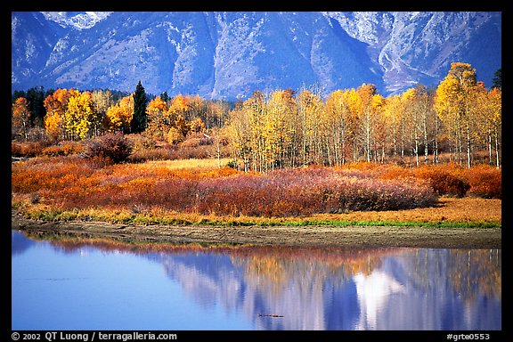Autumn colors and reflexions of Mt Moran in Oxbow bend. Grand Teton National Park, Wyoming, USA.