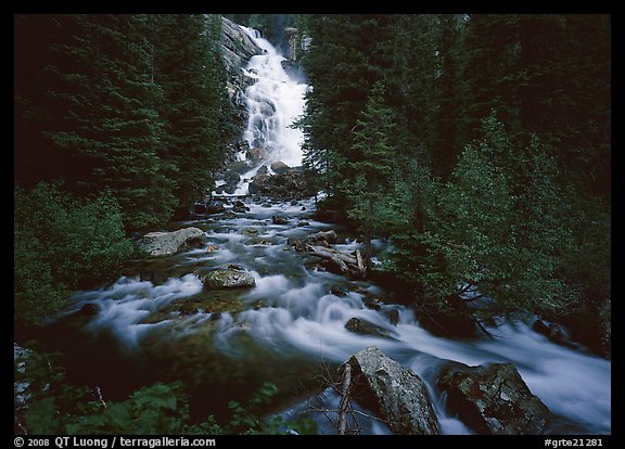 Hidden Falls, stream, and forest. Grand Teton National Park, Wyoming, USA.