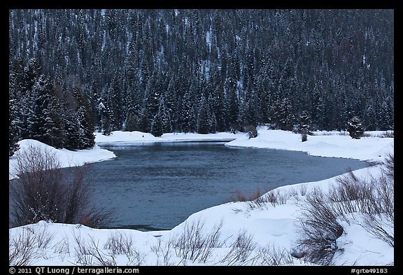 Snake River and forest covered hill in winter. Grand Teton National Park, Wyoming, USA.