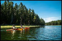 Kayakers in forested inlet, Colter Bay. Grand Teton National Park ( color)