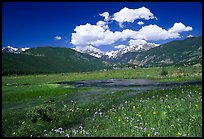Summer flowers and stream in Many Parks area. Rocky Mountain National Park, Colorado, USA.