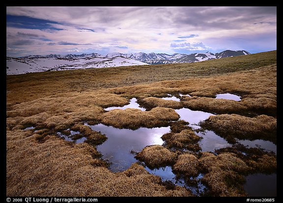 Alpine tundra and the Never Summer range in autumn. Rocky Mountain National Park, Colorado, USA.