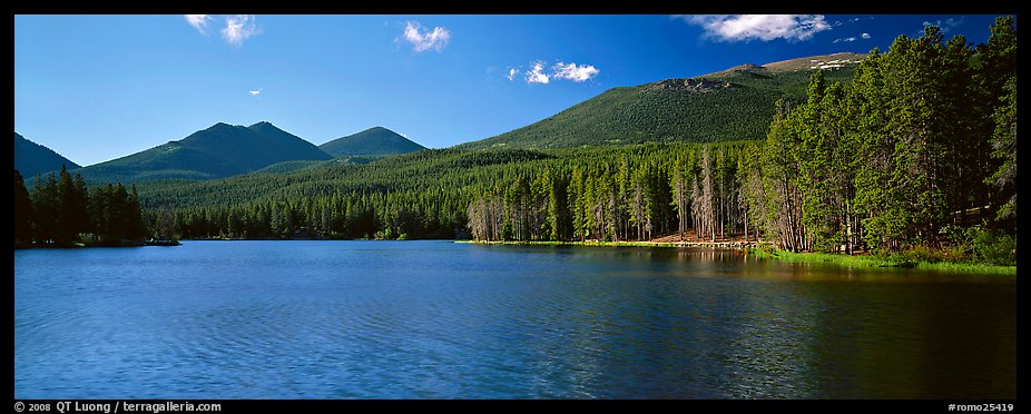 Clear lake with forested shores. Rocky Mountain National Park, Colorado, USA.