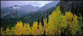 Autumn mountain landscape. Rocky Mountain National Park (Panoramic color)