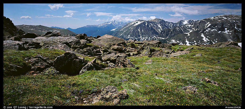 Alpine tundra scenery. Rocky Mountain National Park, Colorado, USA.