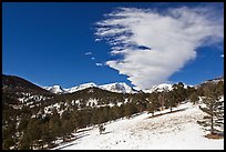 Partly thawed meadow, snowy range, and cloud. Rocky Mountain National Park, Colorado, USA.