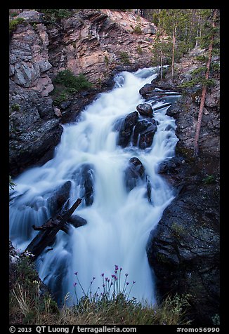 Adams Falls. Rocky Mountain National Park (color)