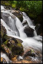 Stream cascading over rocks. Rocky Mountain National Park, Colorado, USA. (color)