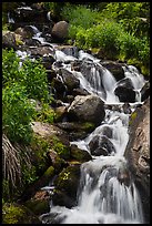 Cascading stream. Rocky Mountain National Park, Colorado, USA. (color)