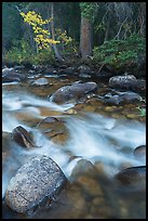 North St Vrain Creek in autumn. Rocky Mountain National Park, Colorado, USA.