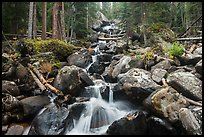 Stream flowing over boulders at Calypo Cascades. Rocky Mountain National Park ( color)