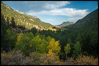 Old Fall River valley in autumn. Rocky Mountain National Park, Colorado, USA.