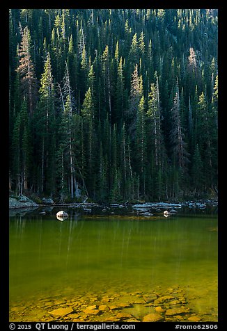 Boulders and forest on Dream Lake shore. Rocky Mountain National Park (color)
