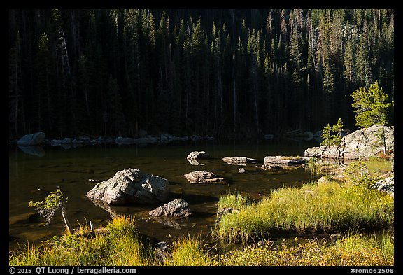 Grasses, boulders, lakeshore, Dream Lake. Rocky Mountain National Park, Colorado, USA.