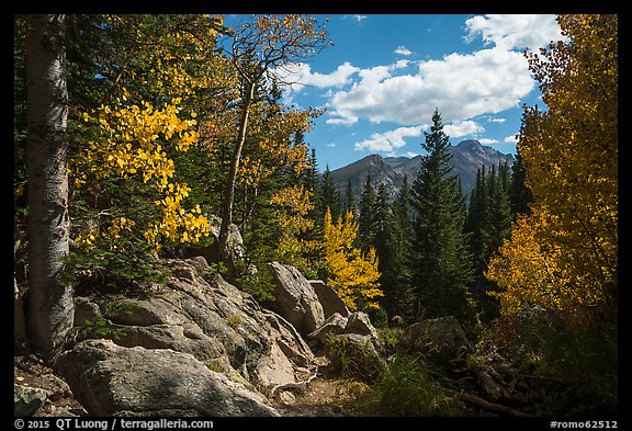 Longs Peak seen from forest opening in autumn. Rocky Mountain National Park, Colorado, USA.