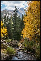 Stream, autumn foliage, and Longs Peak. Rocky Mountain National Park, Colorado, USA.