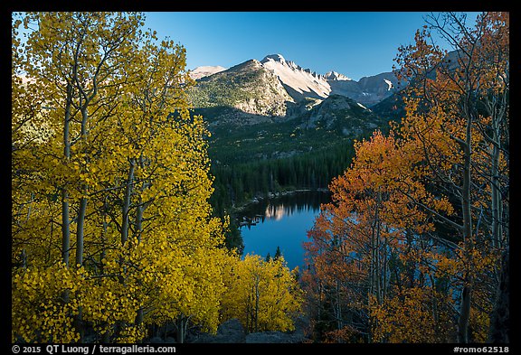 Longs Peak rising above Bear Lake and aspens in autumn foliage. Rocky Mountain National Park, Colorado, USA.