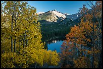 Longs Peak rising above Bear Lake and aspens in autumn foliage. Rocky Mountain National Park, Colorado, USA.
