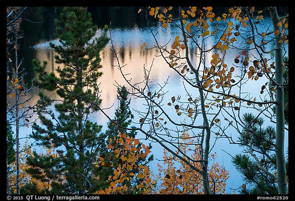 Bear Lake through trees and autumn leaves. Rocky Mountain National Park, Colorado, USA.