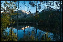 Bear Lakes and Longs Peak through trees with autumn leaves. Rocky Mountain National Park, Colorado, USA.
