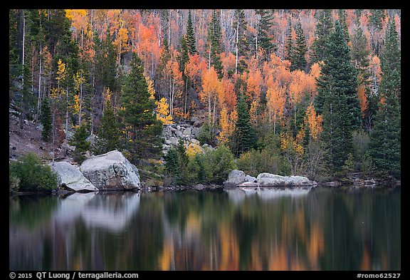 Autumn Color on the slopes around Bear Lake. Rocky Mountain National Park, Colorado, USA.