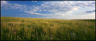 Tall grass prairie landscape, South Unit. Theodore Roosevelt National Park (Panoramic color)