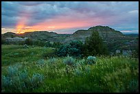 Sunset over grasses and badlands. Theodore Roosevelt National Park, North Dakota, USA. (color)