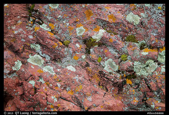 Close-up of red rocks with lichen. Theodore Roosevelt National Park, North Dakota, USA.