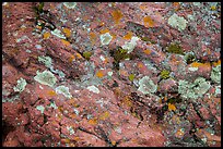 Close-up of red rocks with lichen. Theodore Roosevelt National Park, North Dakota, USA.
