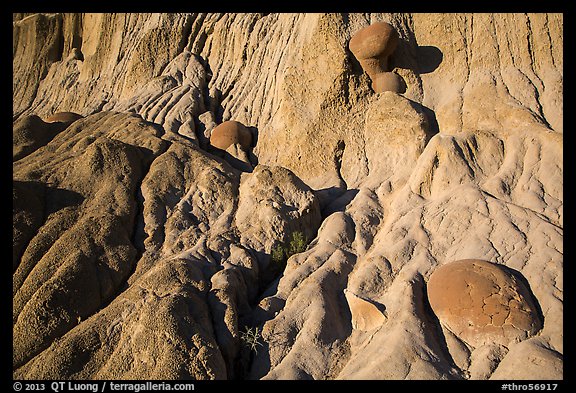 Cliff with cannonball concretions. Theodore Roosevelt National Park (color)