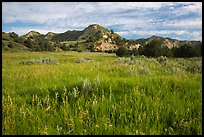 Meadow and badlands, early morning, Elkhorn Ranch Unit. Theodore Roosevelt National Park, North Dakota, USA. (color)