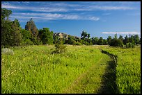 Trail through meadow, cottowoods and distant badlands, Elkhorn Ranch Unit. Theodore Roosevelt National Park, North Dakota, USA. (color)