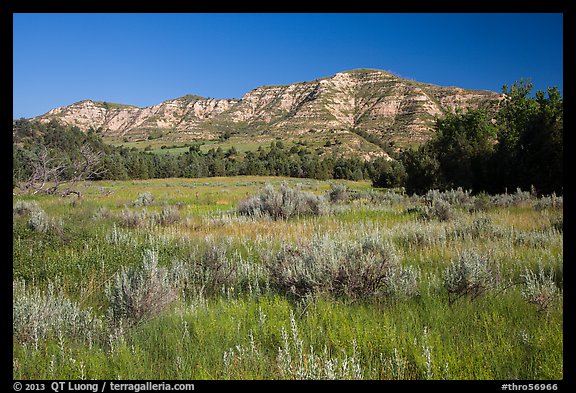 View from Roosevelt Elkhorn Ranch site. Theodore Roosevelt National Park, North Dakota, USA.
