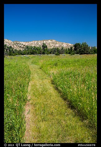 Grassy faint trail and badlands, Elkhorn Ranch Unit. Theodore Roosevelt National Park (color)