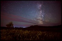 Milky Way, Elkhorn Ranch Unit. Theodore Roosevelt National Park, North Dakota, USA. (color)