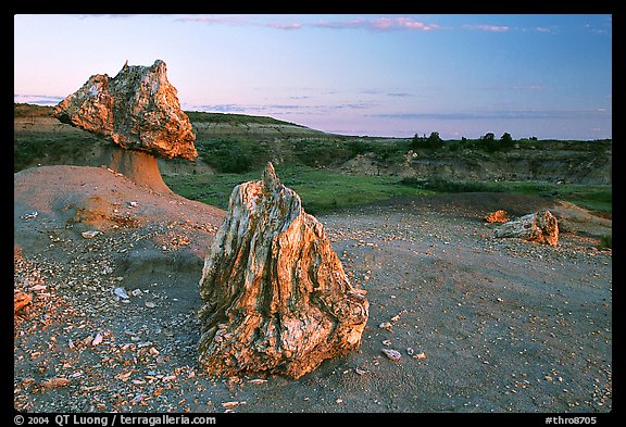 Pedestal petrified log and petrified stump sunset,. Theodore Roosevelt  National Park, North Dakota, USA.