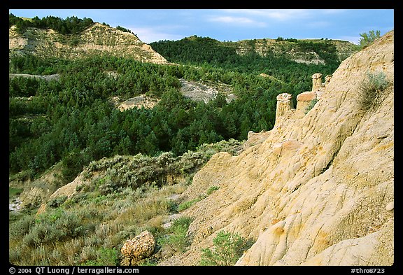 Rain Pillars, Caprock coulee trail, North Unit. Theodore Roosevelt National Park (color)