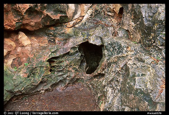 Cave mouth, where strong winds equalize pressure between inside outside. Wind Cave National Park (color)