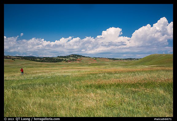 Park visitor looking, prairie and rolling hills. Wind Cave National Park, South Dakota, USA.
