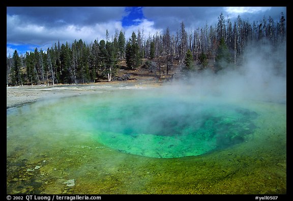 Steam out of Beauty pool in Upper geyser basin. Yellowstone National Park