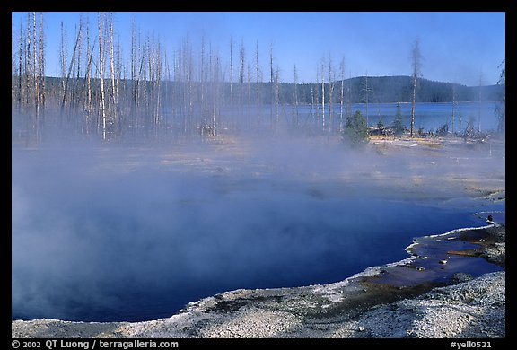 West Thumb geyser basin. Yellowstone National Park