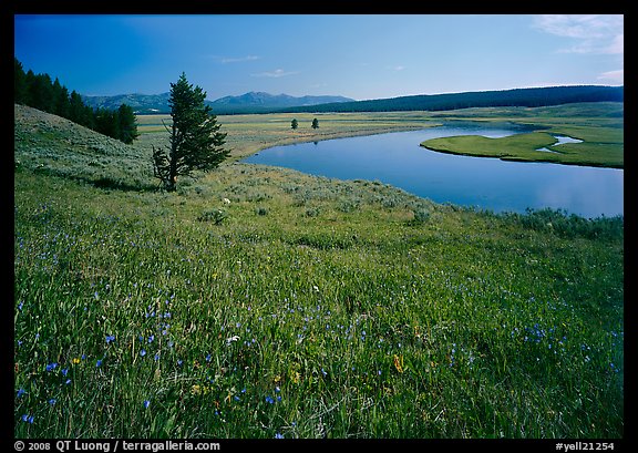 Meadow and bend of the Yellowstone River, Hayden Valley. Yellowstone National Park, Wyoming, USA.