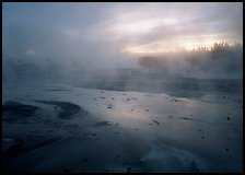 Steam in Norris Geyser Basin at dawn. Yellowstone National Park, Wyoming, USA.