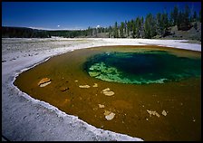 Beauty Pool. Yellowstone National Park, Wyoming, USA. (color)