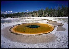 Thermal pool, upper Geyser Basin. Yellowstone National Park, Wyoming, USA. (color)