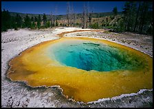 Raibow colored Morning Glory Pool. Yellowstone National Park, Wyoming, USA. (color)
